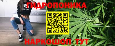 винт Кингисепп