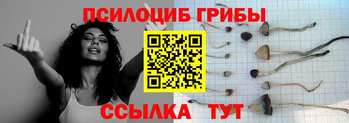 Псилоцибиновые грибы мицелий Ковров